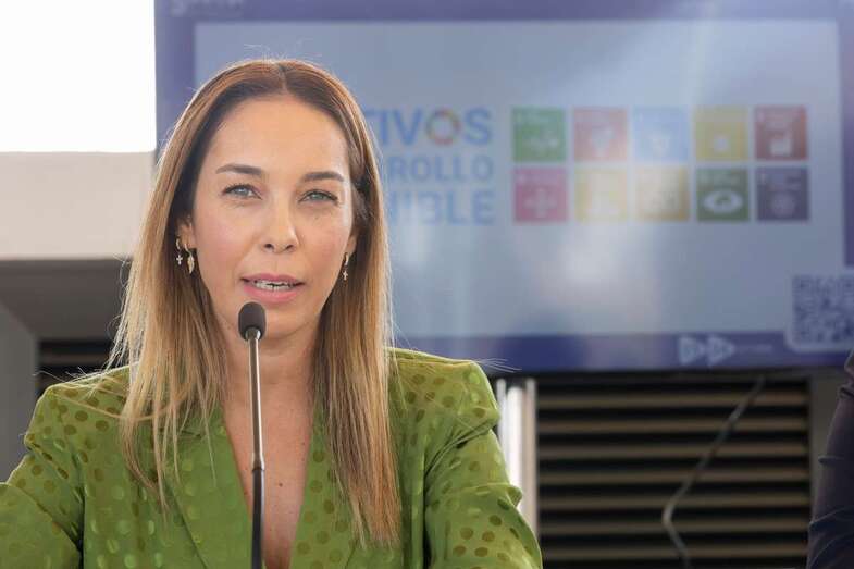 La consejera Guacimara Medina / TA